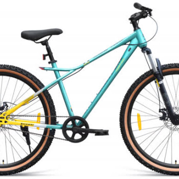 BLACK TIGER 24T SINGLE SPEED