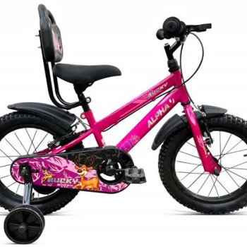 BUCKY 16T