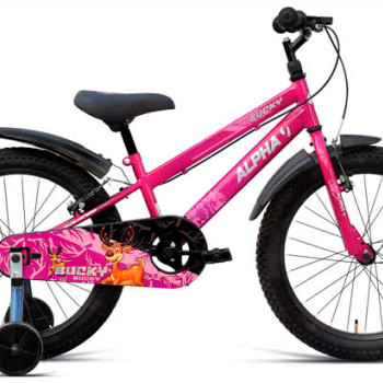 BUCKY 20T