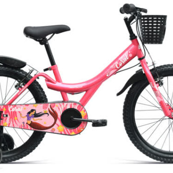CORAL 20T CKD