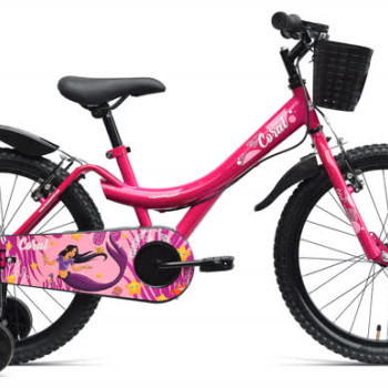 CORAL 20T CKD