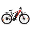 E-Bike ZX 27.5T (10.4 Ah)