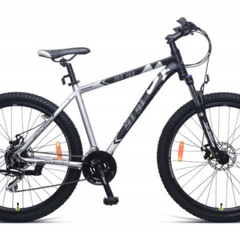 NIGHT BLADE 29T 24 SPEED