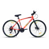 WANDERER PRO 700C