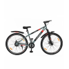 CULT DAUNTLESS 29T single speed CULT DAUNTLESS 29T single speed