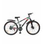 CULT DAUNTLESS 29T single speed