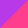 Dual purple pink 