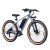 Hero Lectro Y5+ Geared