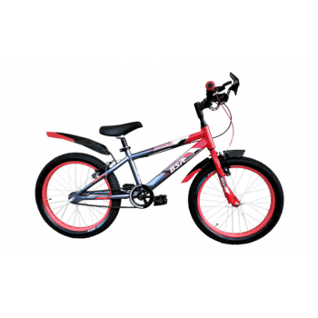 BSA Go biking 20 T New Edition