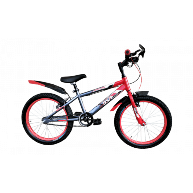 BSA Go biking 20 T New Edition