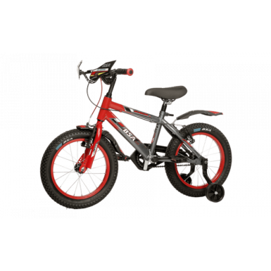 BSA Go biking 16 T New Edition