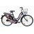 BSA Ladybird Hazel 24T