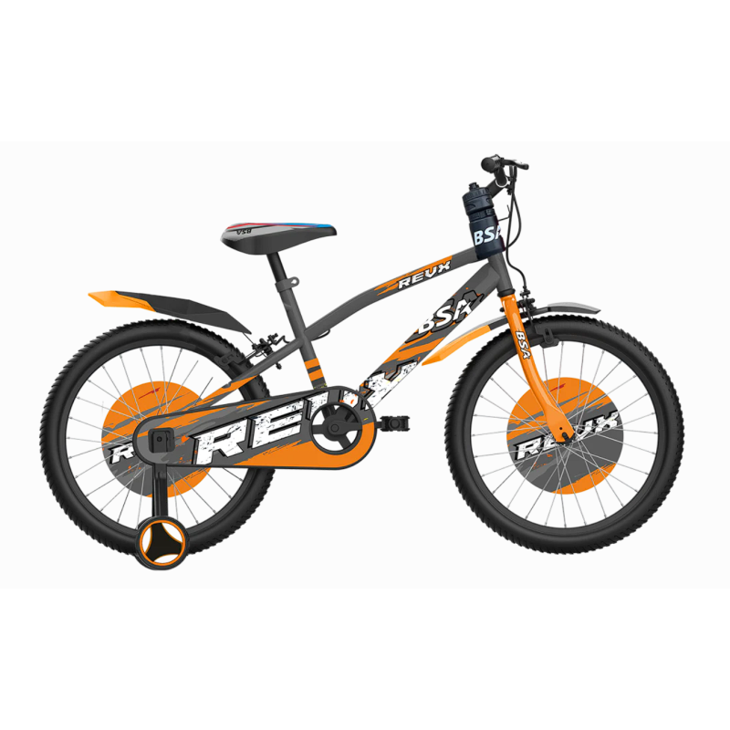 BSA Rev X 20T