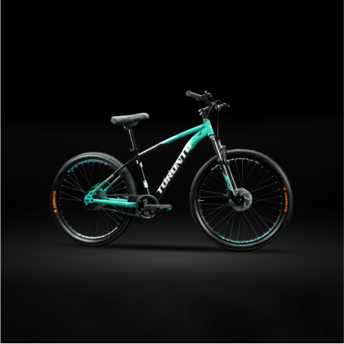 FRASER 24" Single Speed