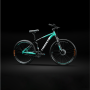 FRASER 24" Single Speed