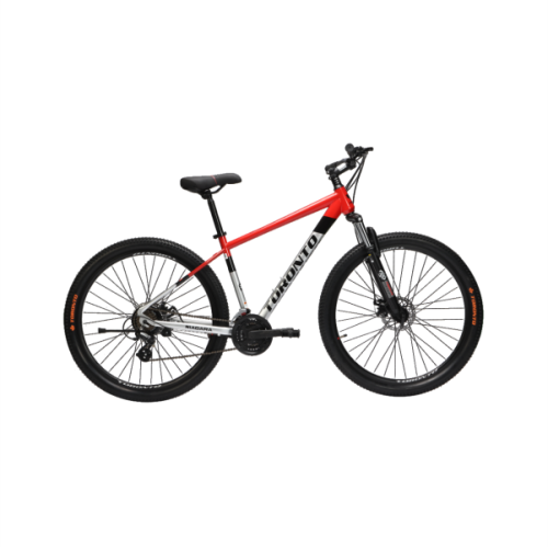 NIAGARA 29" 21 Speed