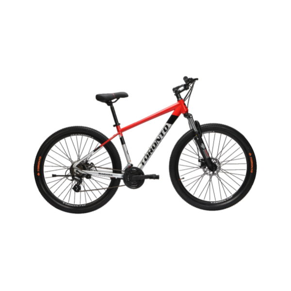 NIAGARA 27.5" 21 Speed