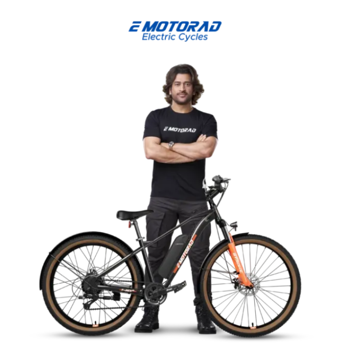 Emotorad T-Rex Air 29