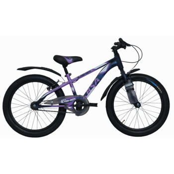 BSA Basher 20*11 VB SS PUR BLU