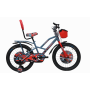 BSA Poh Hop 20*13 IC VB BLU PUR